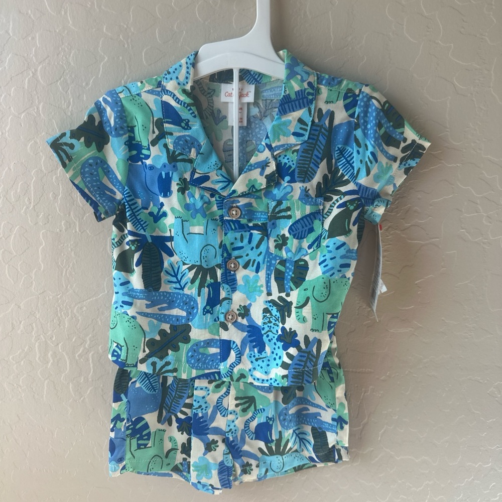 Cat & Jack Blue and Green Button Down Shirt